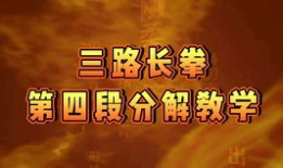 三路长拳教学视频,掌握传统武术精髓，提升自我防卫能力